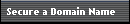 Secure a Domain Name