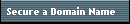 Secure a Domain Name